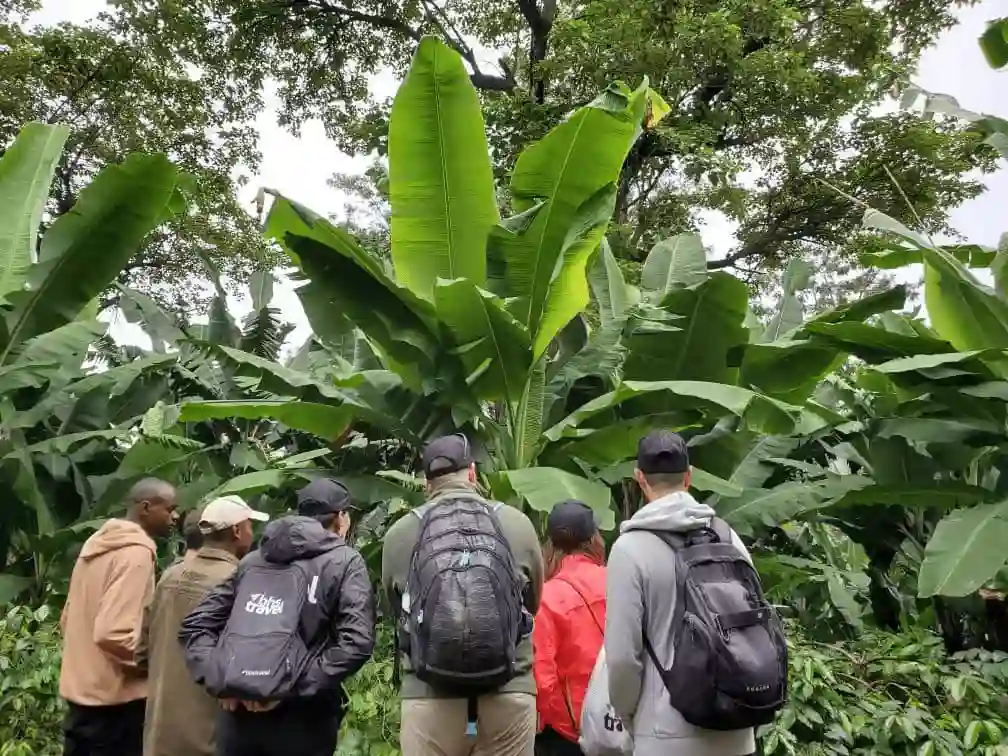 Tengeru Cultural tourism Program
