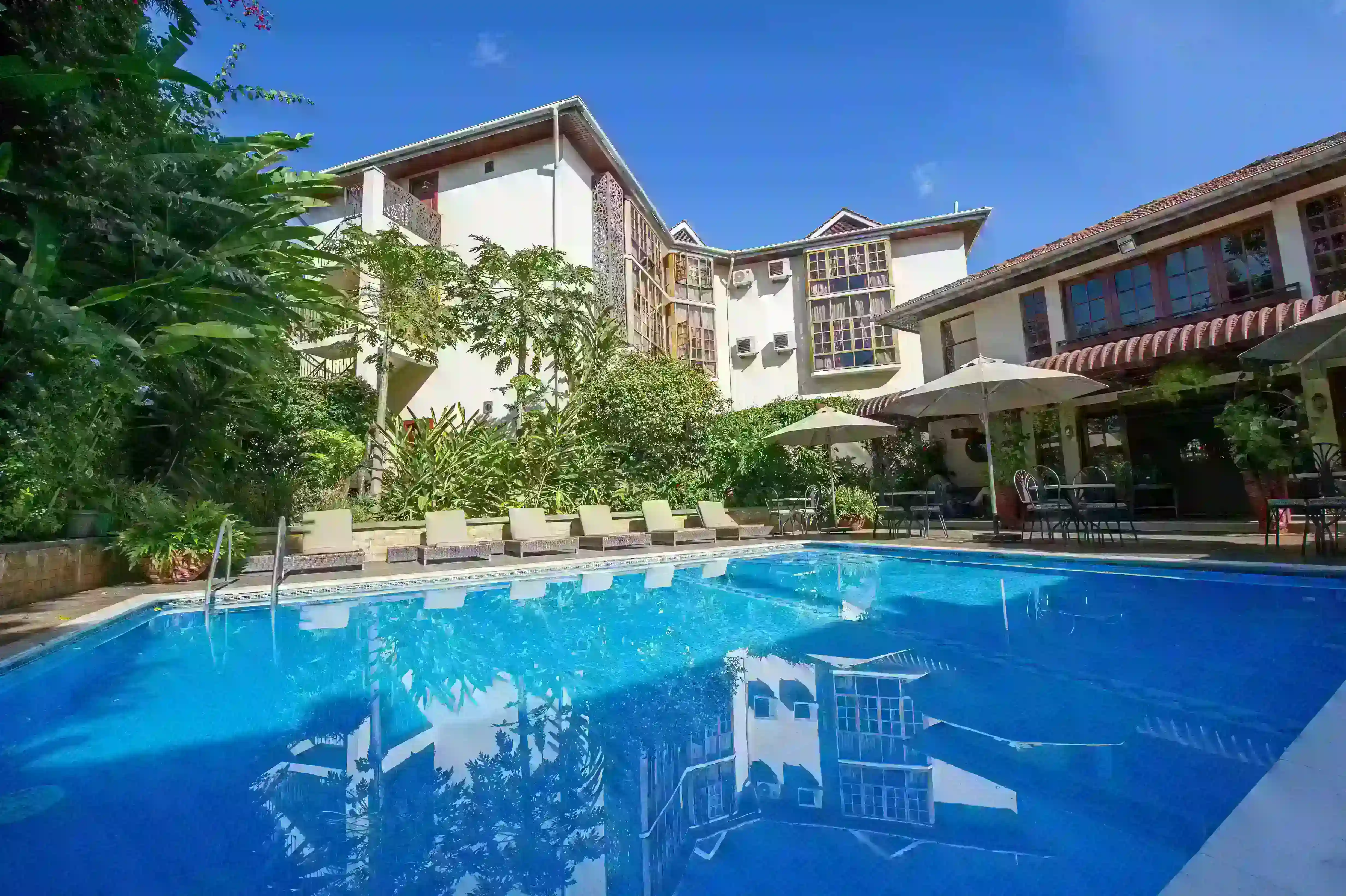 The African tulip swimming pool